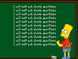 dumb questions